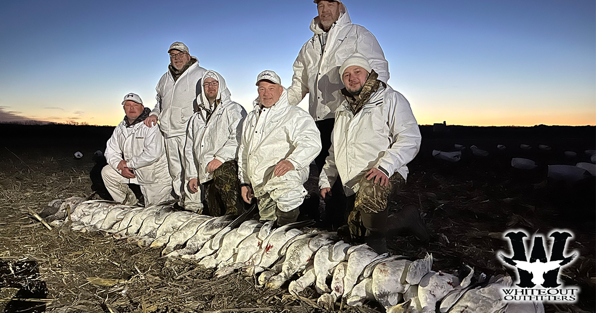 Conservation Snow Goose Hunt