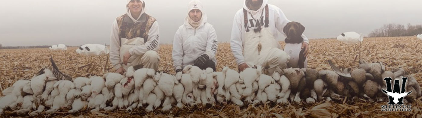 Missouri Spring Snow Goose Hunts