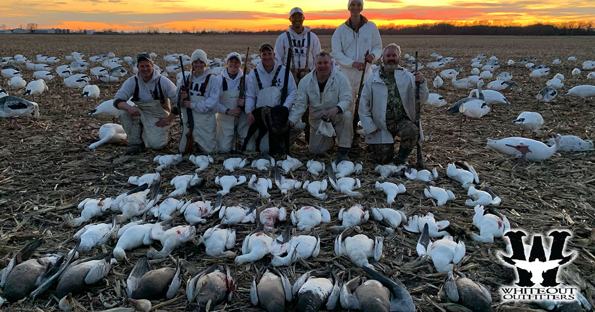 Missouri Snow Goose Hunting