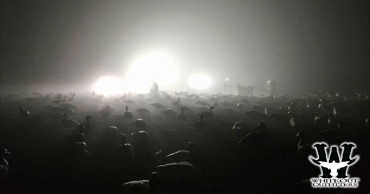 Missouri Spring Snow Goose Guide