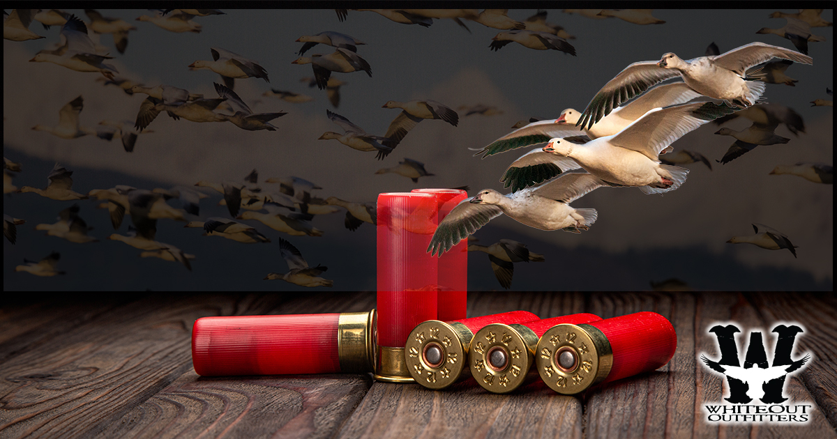 Is Ammo Provided or BYO for Your Spring Snow Goose Hunt?
