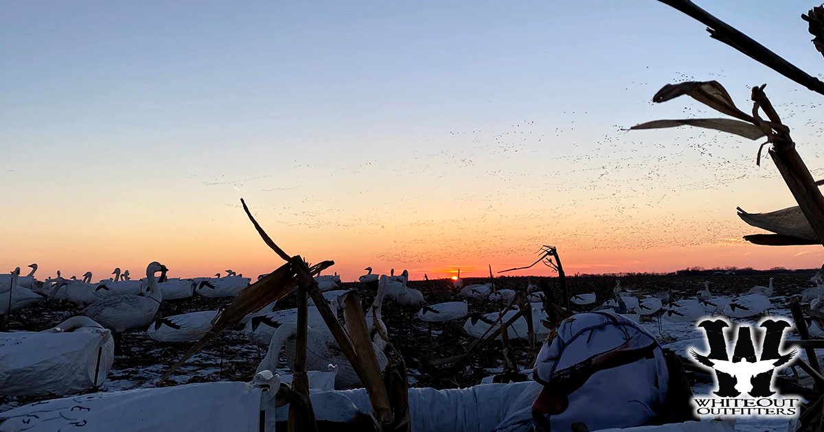 What should I bring personally for a Spring Snow Goose Hunt? 