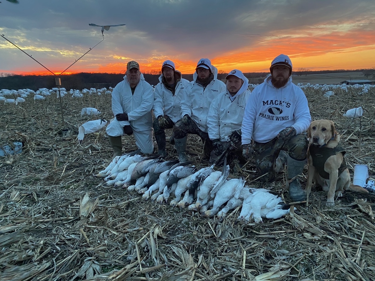 Spring Snow Goose Hunt 02-21-2023