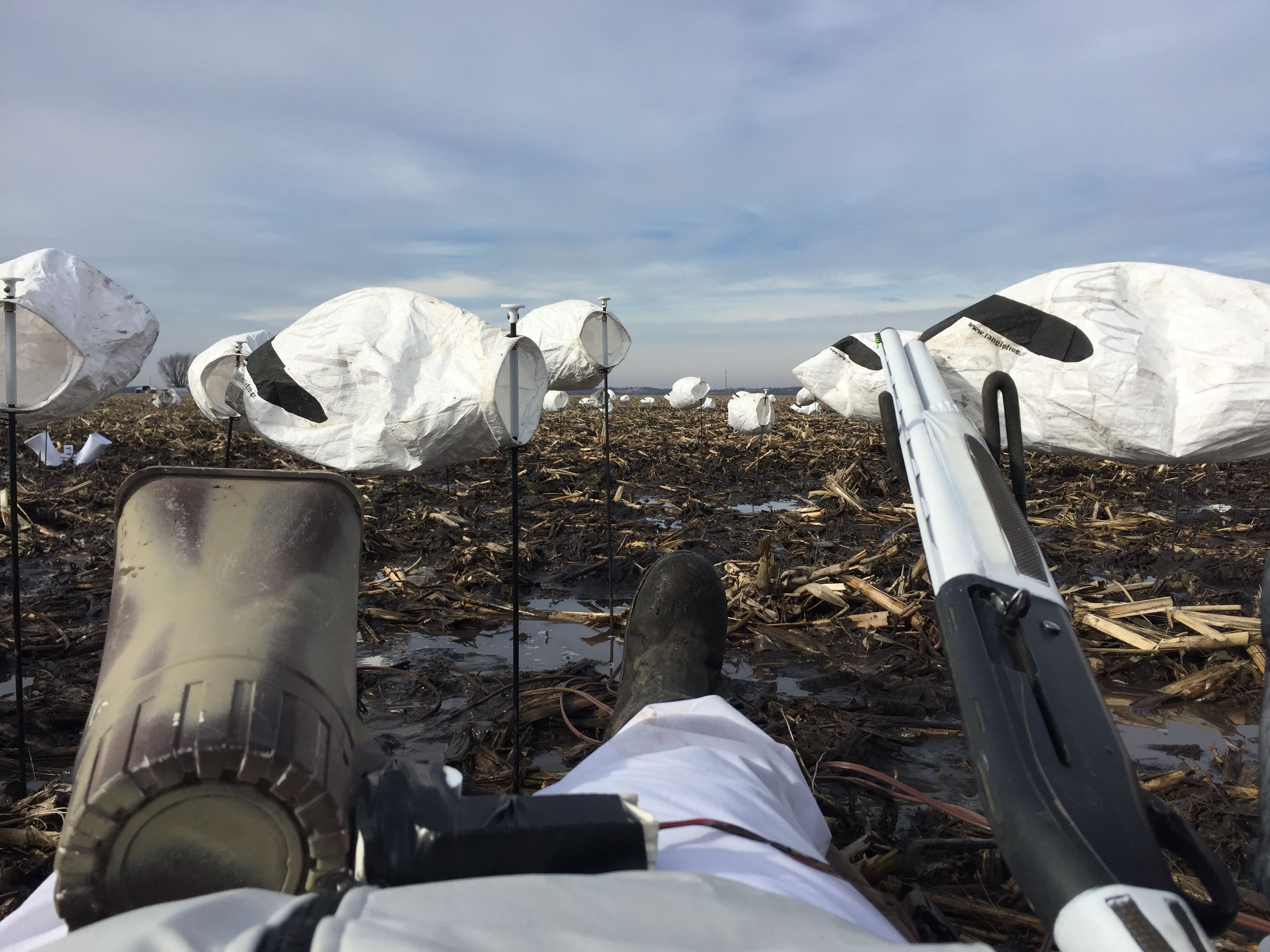 Whiteout Outfitters Spring Snow Goose Hunts IMG_0153.jpg