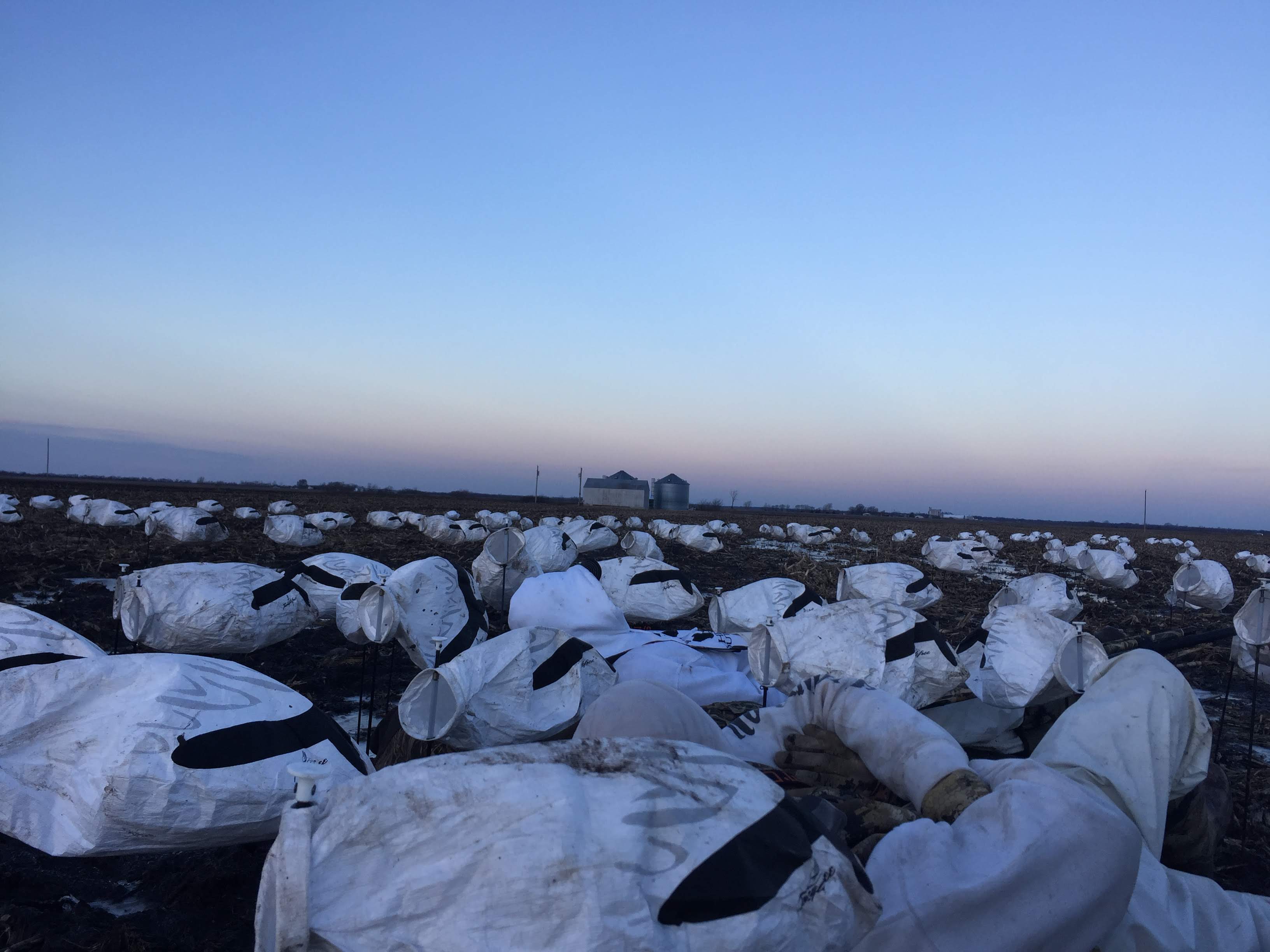 Whiteout Outfitters Spring Snow Goose Hunts IMG_0158.jpg