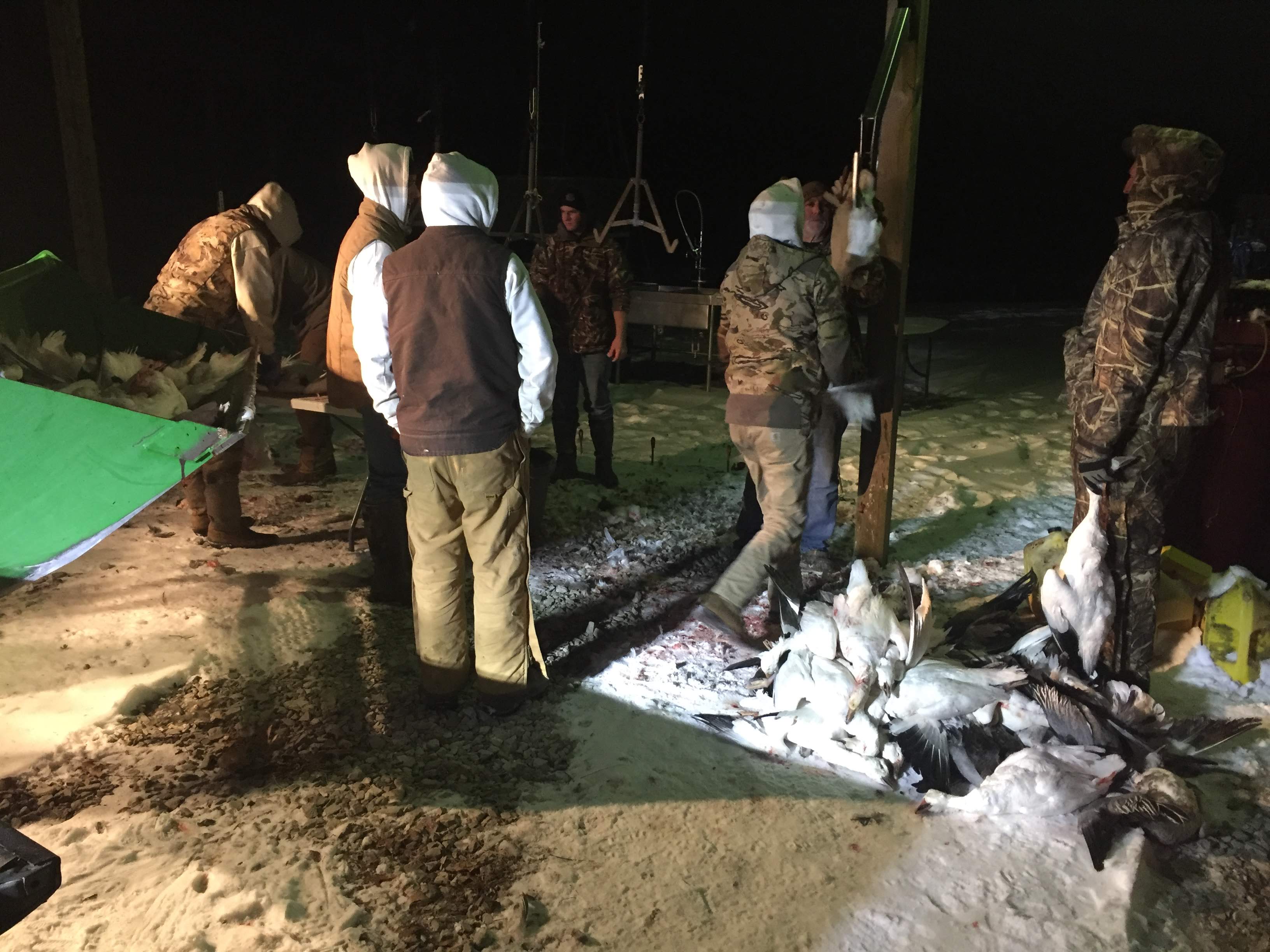 Whiteout Outfitters Spring Snow Goose Hunts IMG_0183.jpg