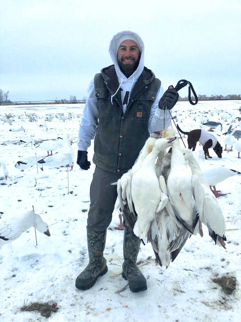 Whiteout Outfitters Spring Snow Goose Hunts IMG_0203.jpg
