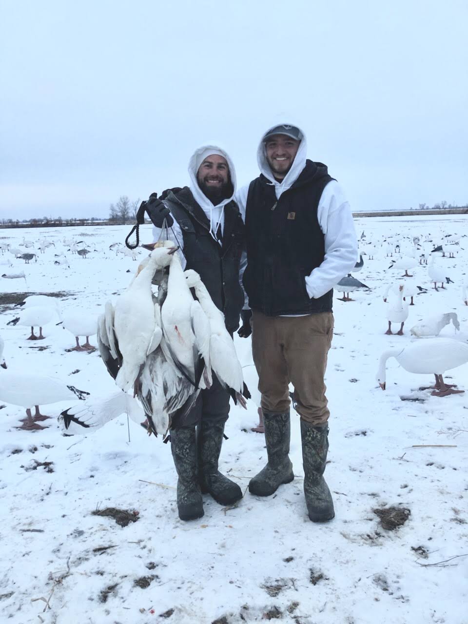 Whiteout Outfitters Spring Snow Goose Hunts IMG_0204.jpg