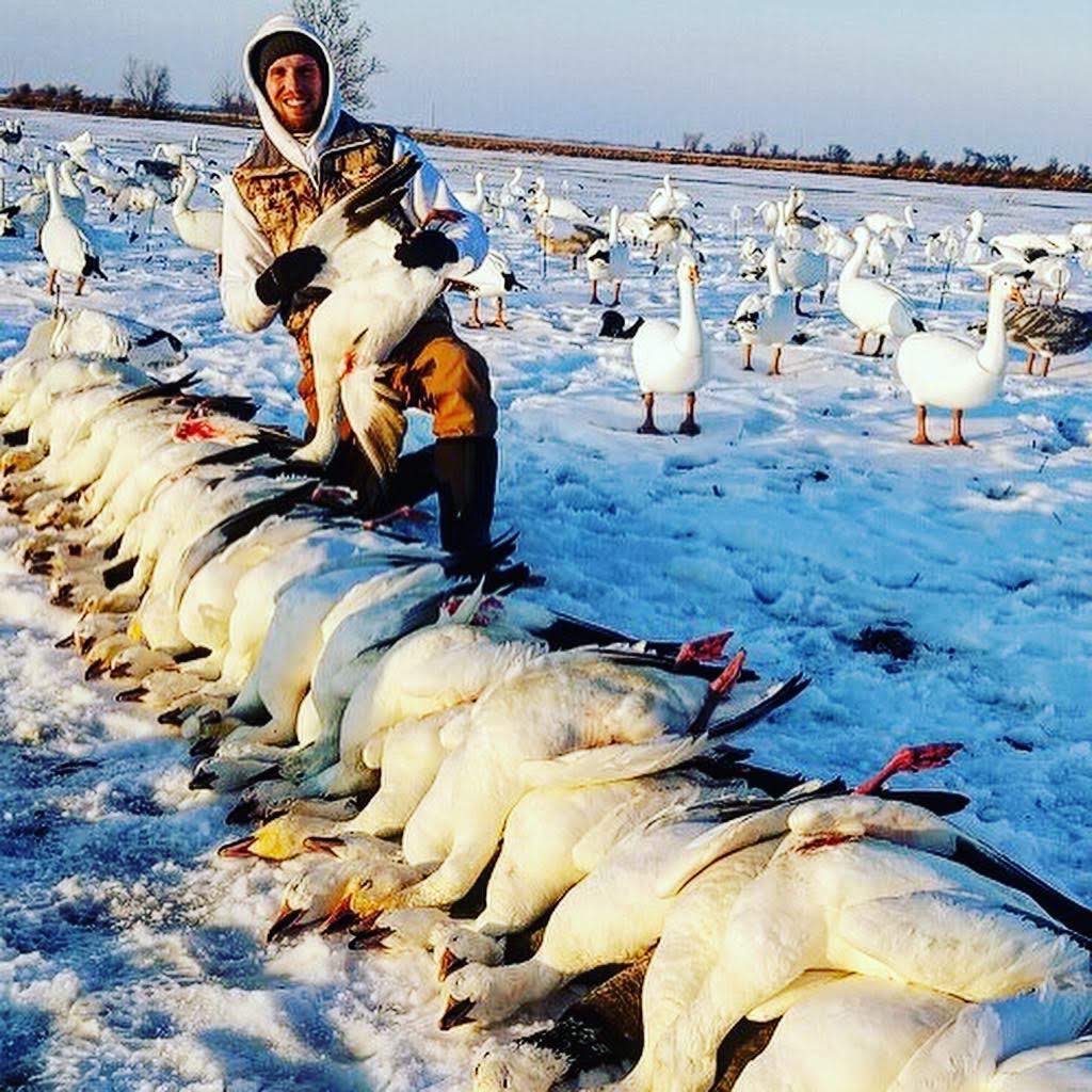 Whiteout Outfitters Spring Snow Goose Hunts IMG_0212.jpg