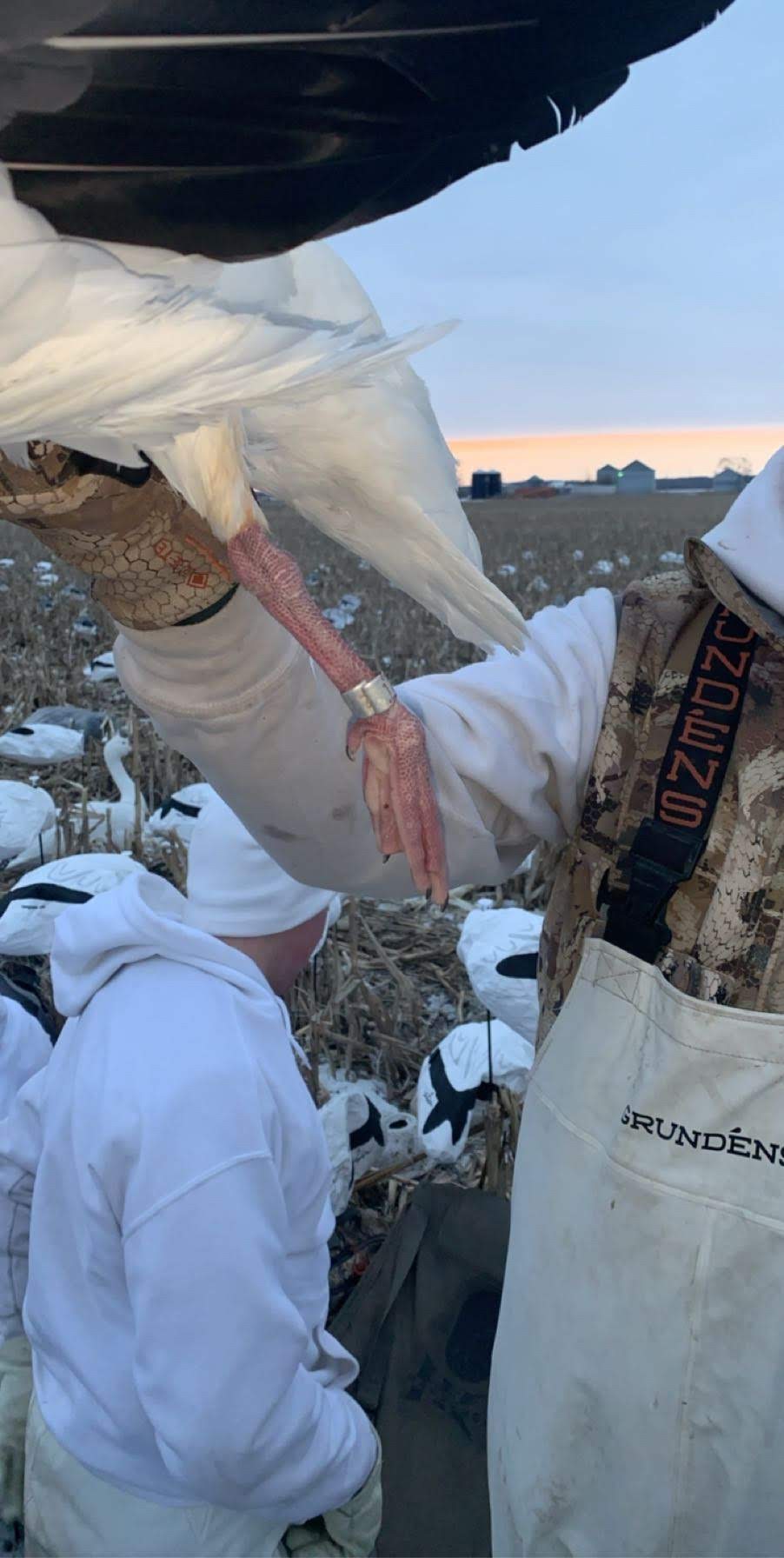 Whiteout Outfitters Spring Snow Goose Hunts IMG_2225.jpg