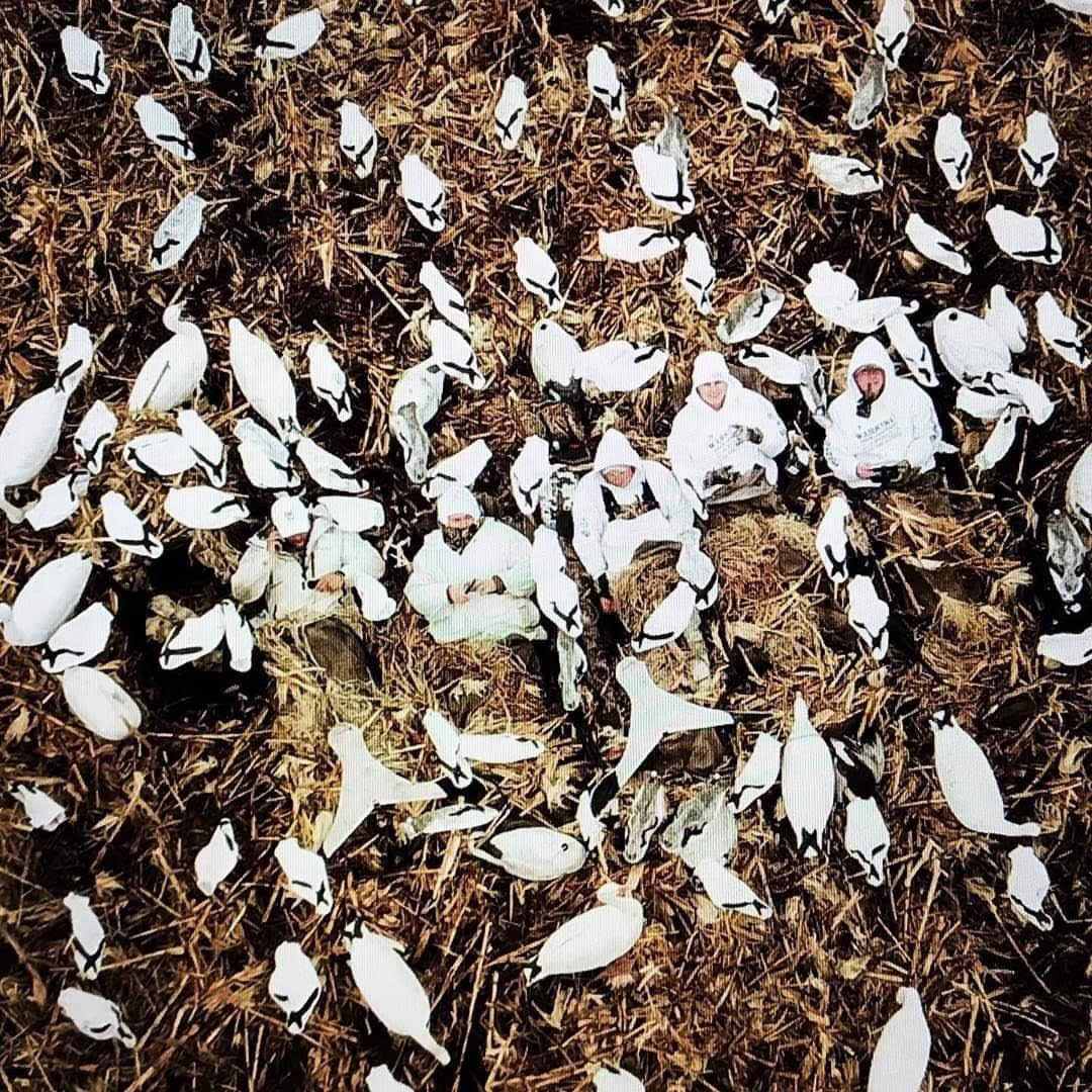 Whiteout Outfitters Spring Snow Goose Hunts IMG_2246.jpg