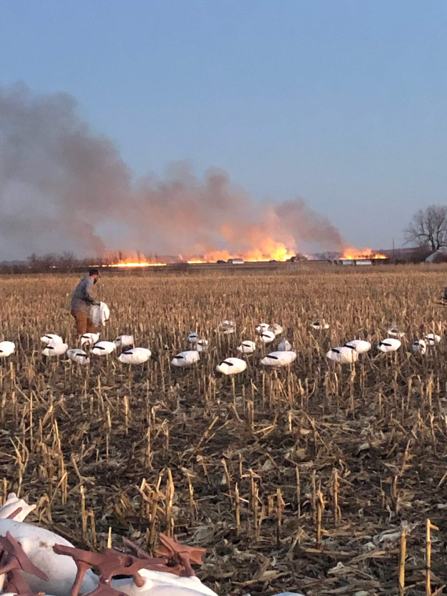 Whiteout Outfitters Spring Snow Goose Hunts IMG_2268.jpg