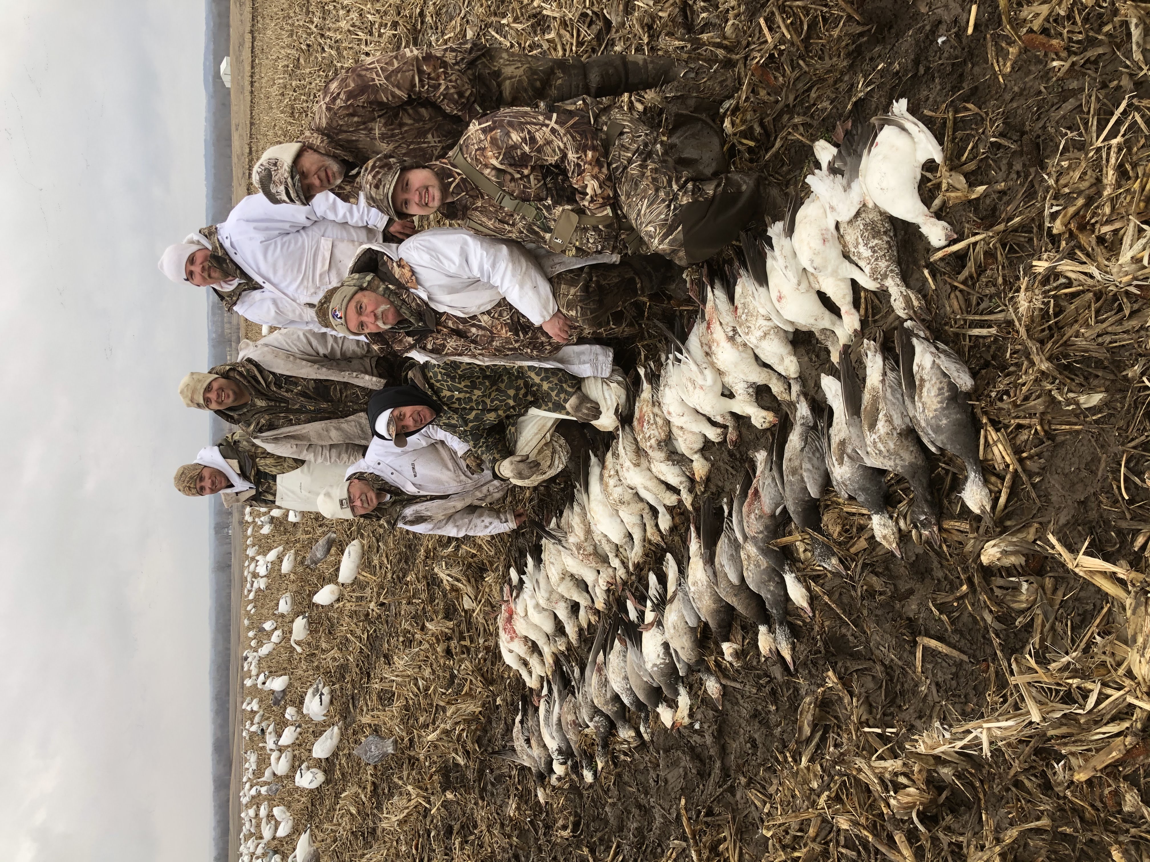Whiteout Outfitters Spring Snow Goose Hunts IMG_2281.jpg