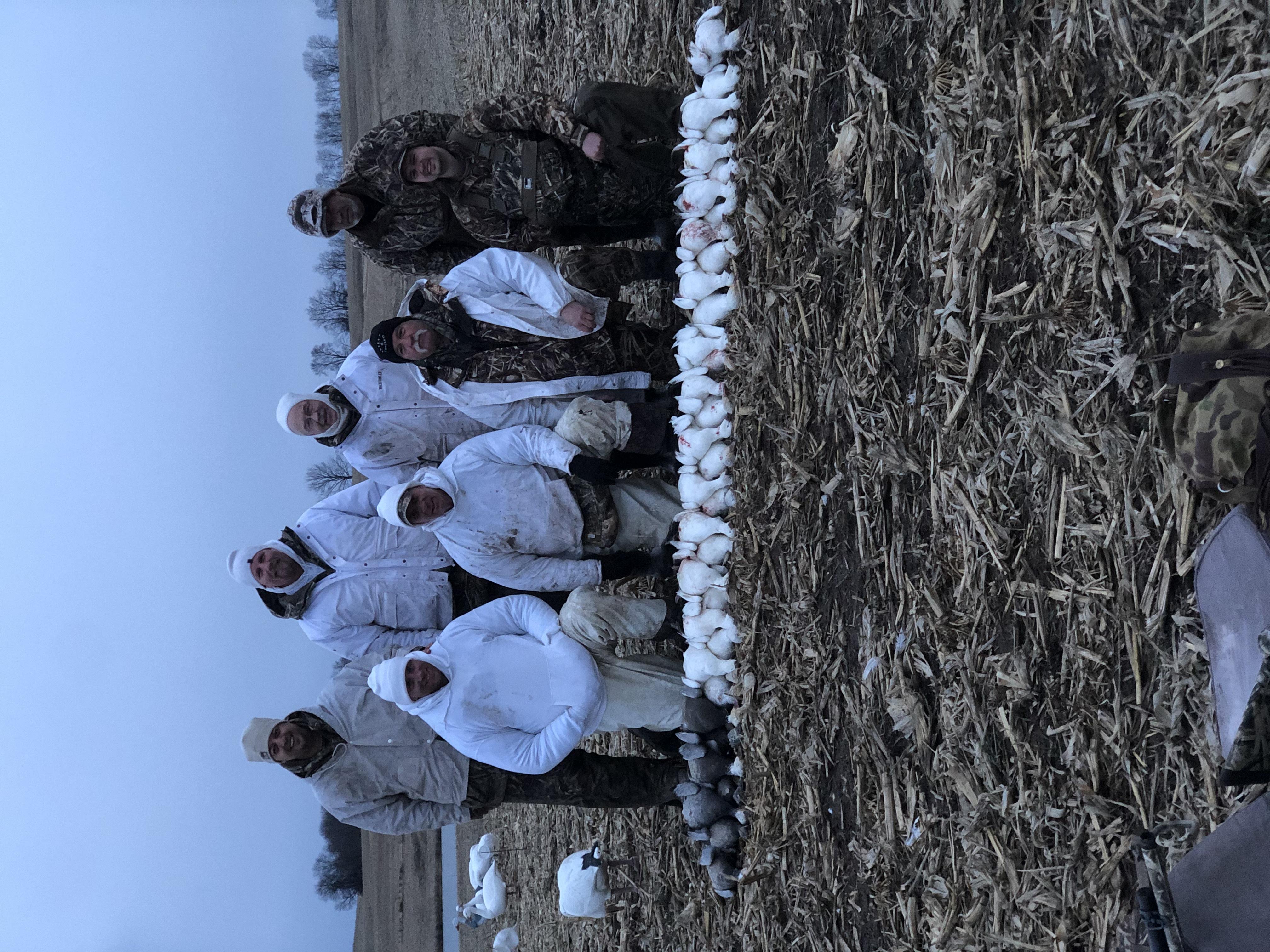 Whiteout Outfitters Spring Snow Goose Hunts IMG_2282.jpg