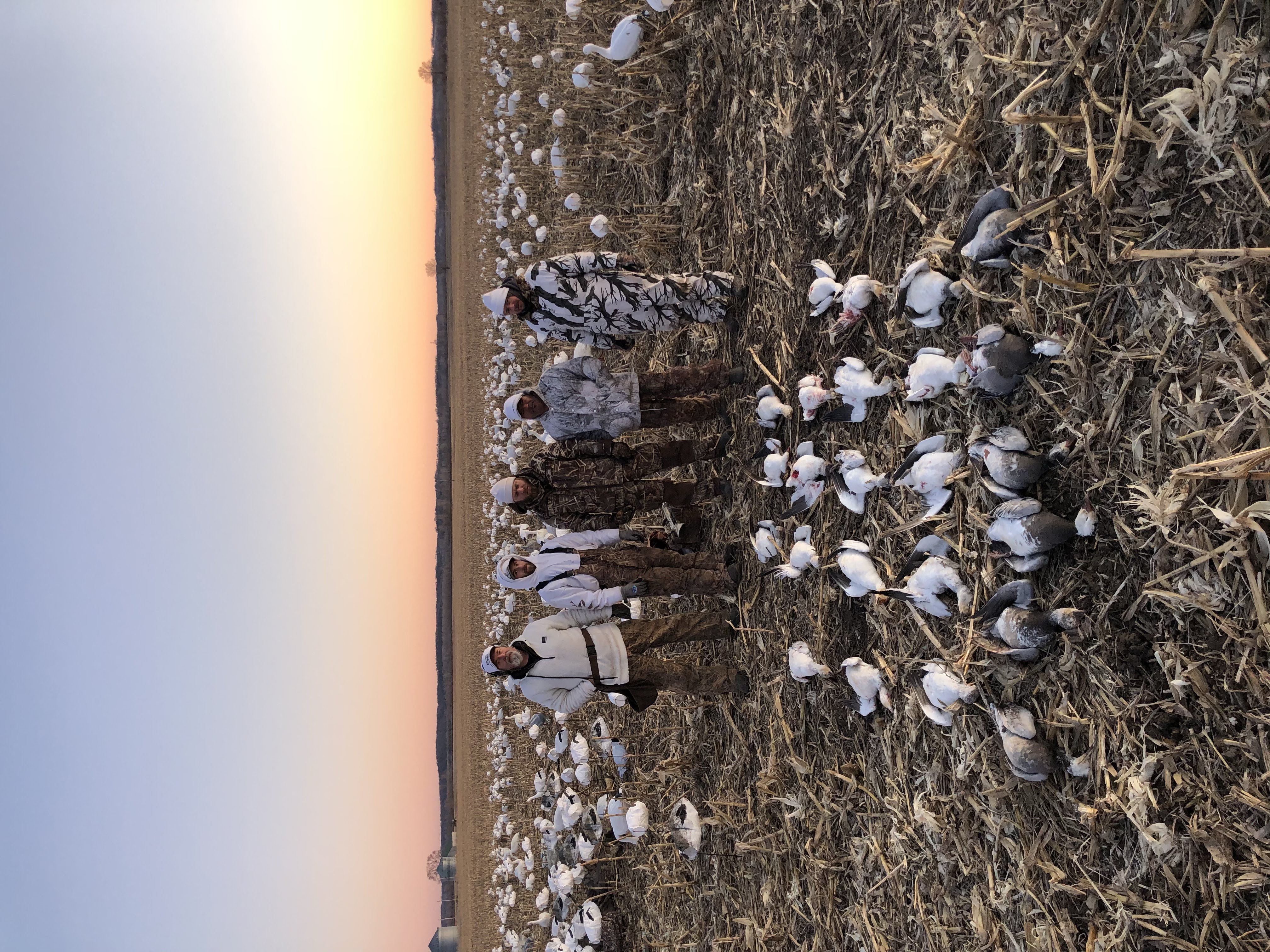 Whiteout Outfitters Spring Snow Goose Hunts IMG_3510.jpg