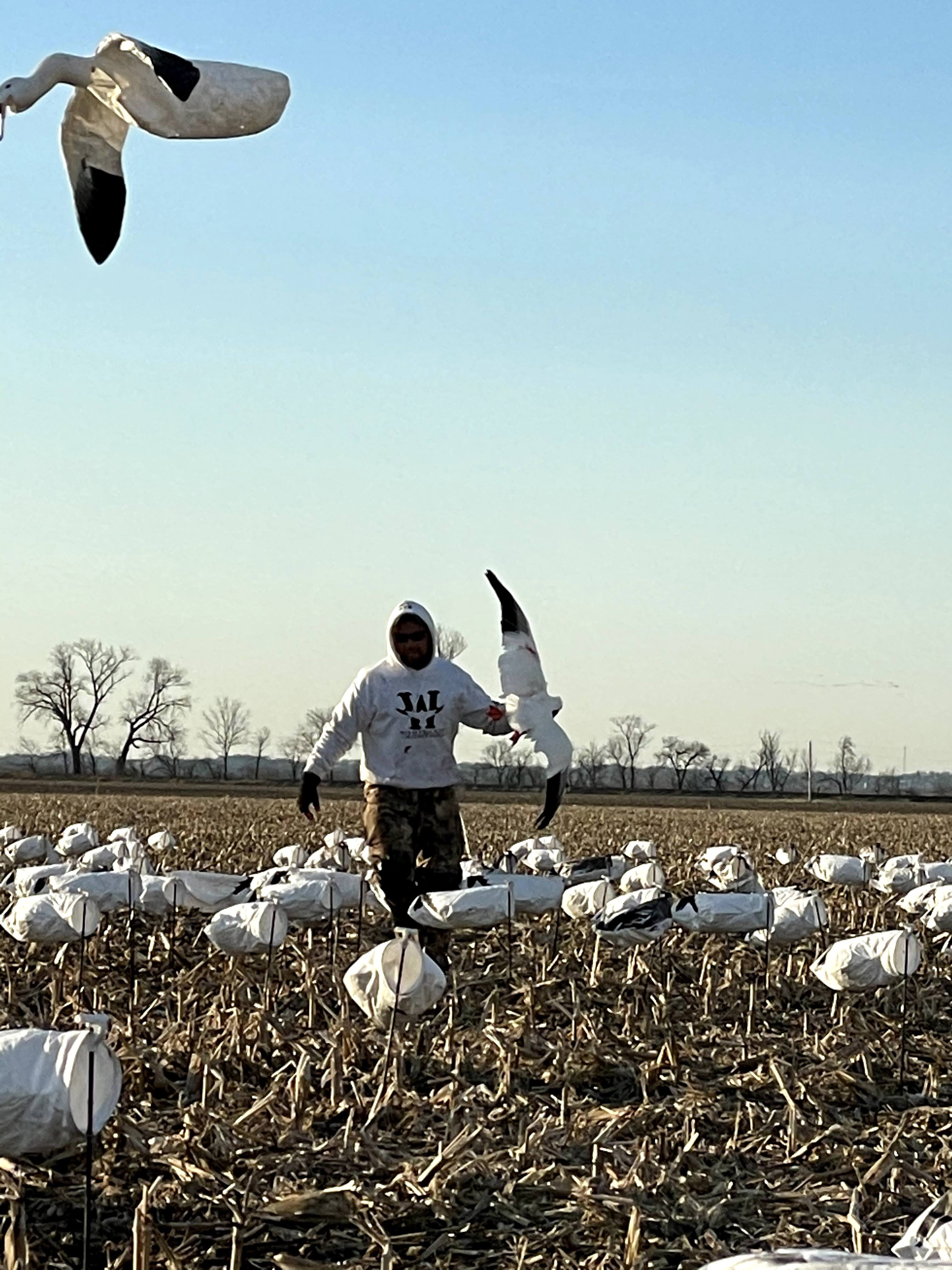 Whiteout Outfitters Spring Snow Goose Hunts IMG_0484.jpg