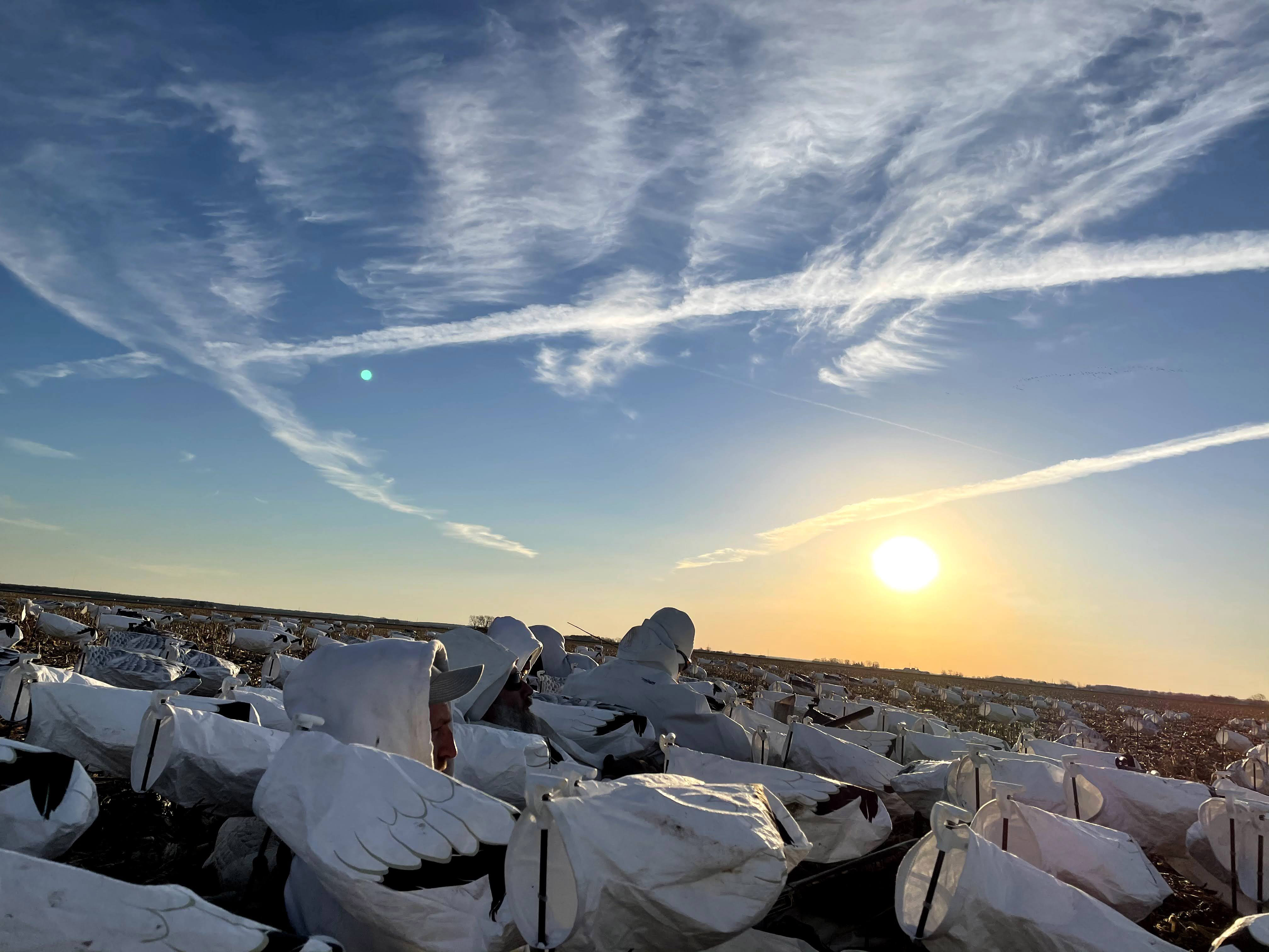 Whiteout Outfitters Spring Snow Goose Hunts IMG_0487.jpg