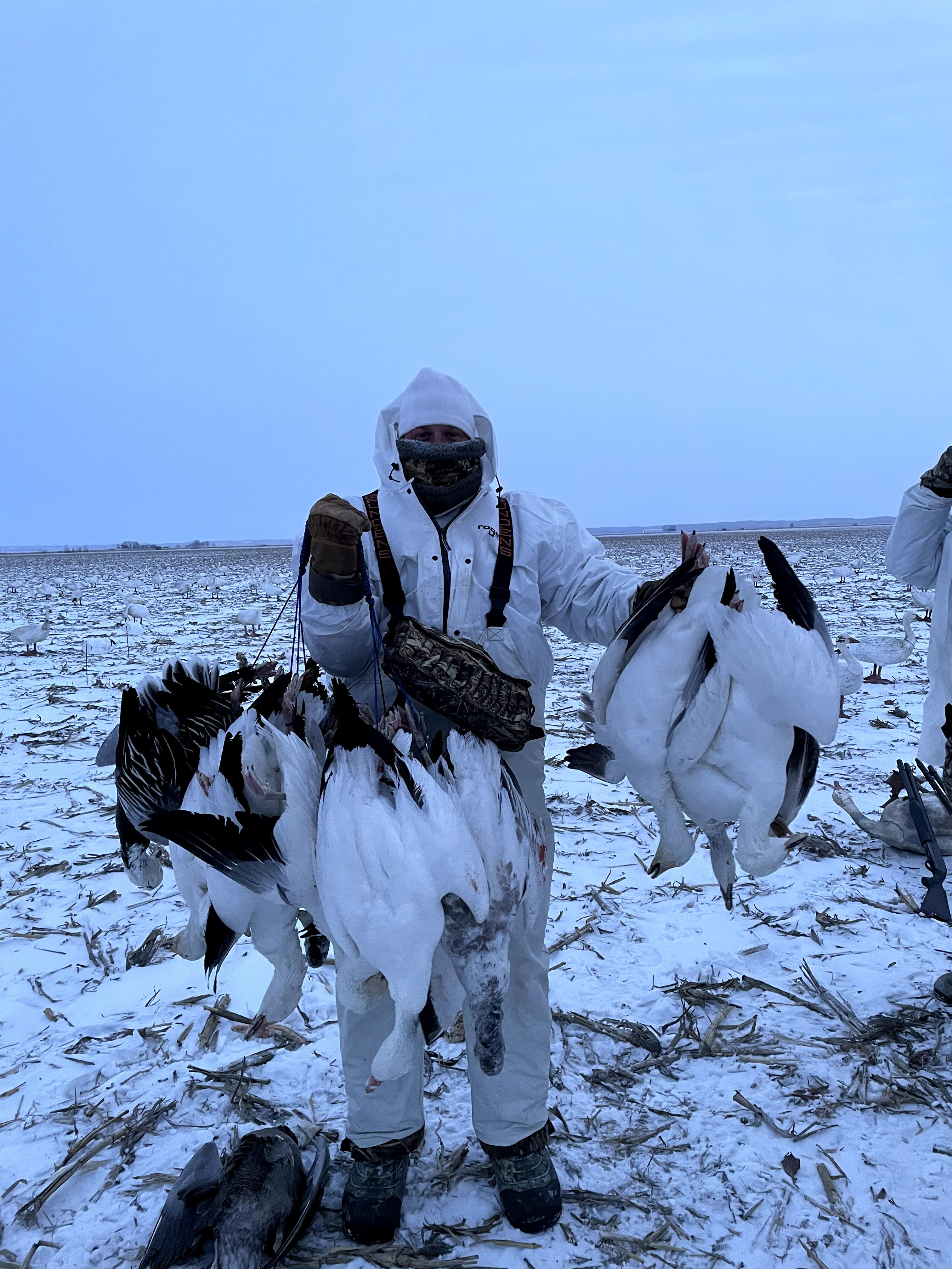 Whiteout Outfitters Spring Snow Goose Hunts IMG_6538.jpg
