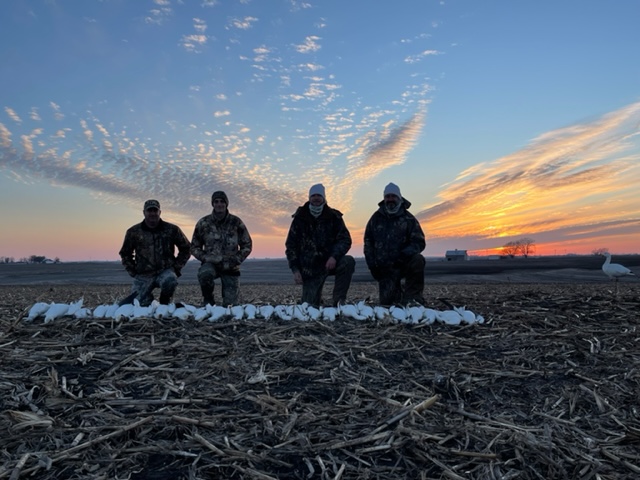 Whiteout Outfitters Spring Snow Goose Hunts IMG_1345.jpg