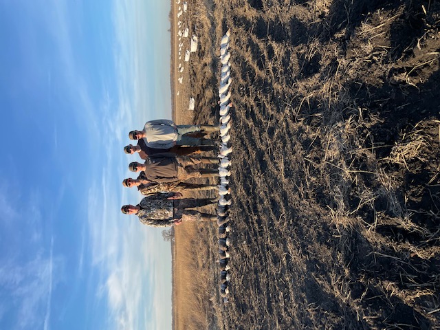 Whiteout Outfitters Spring Snow Goose Hunts IMG_1849.jpg