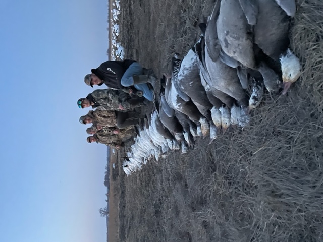 Whiteout Outfitters Spring Snow Goose Hunts IMG_1870.jpg