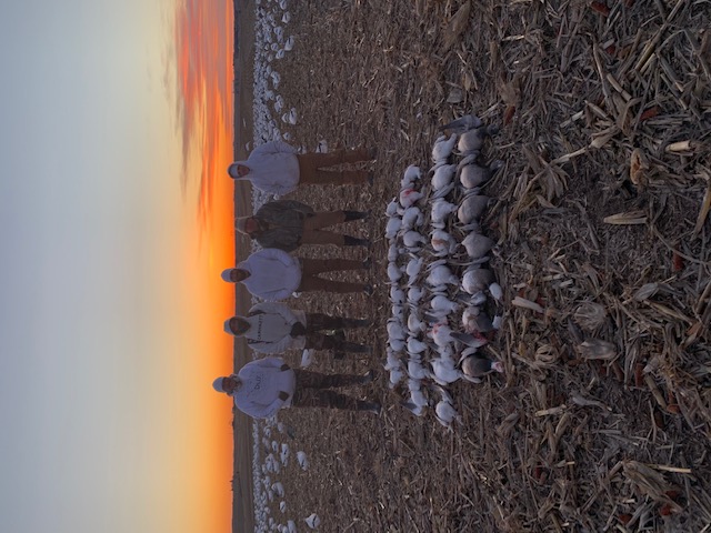 Whiteout Outfitters Spring Snow Goose Hunts IMG_9355.jpg