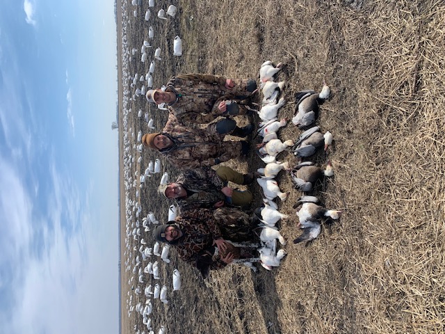 Whiteout Outfitters Spring Snow Goose Hunts IMG_9480.jpg