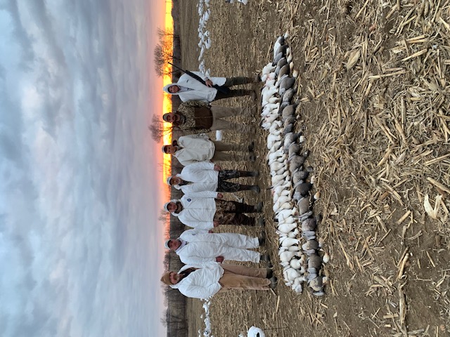Whiteout Outfitters Spring Snow Goose Hunts IMG_9549.jpg