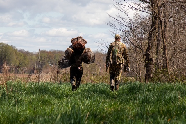 Spring Turkey Hunt cf_69725eb0b74ad_IMG_6394.jpeg