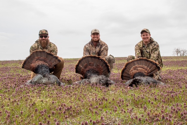 Spring Turkey Hunt cf_69725ec45fd25_IMG_6285.JPG